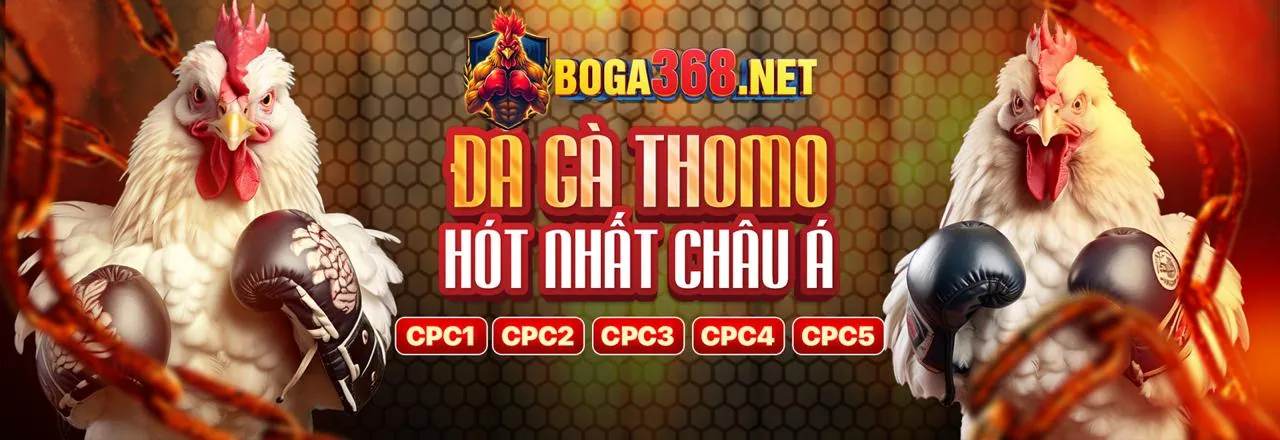 Các lá bài và chip cược trong Baccarat